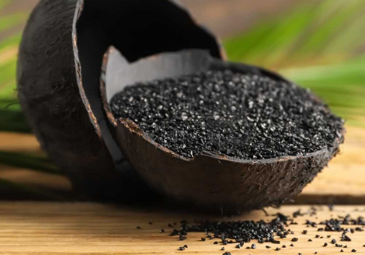 Coconut-Shell-Carbon-Water-Filter